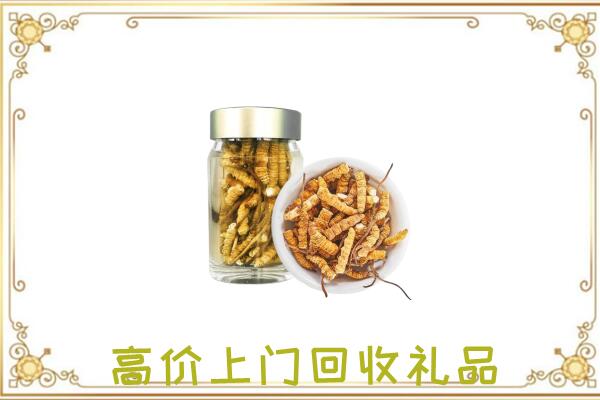 包头周边回收虫草